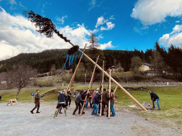 Mit Schwalben wird der Maibaum aufgerichtet