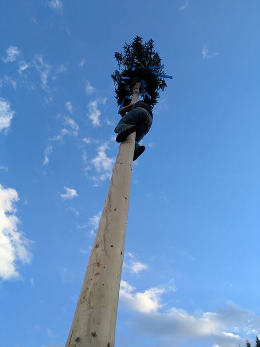Ganz oben am Kranz