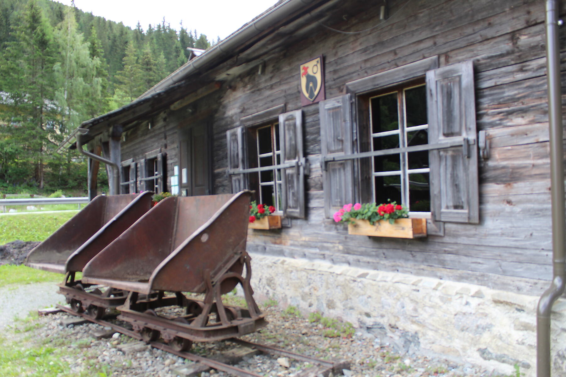 Hunte auf Gleisen vor dem Museum